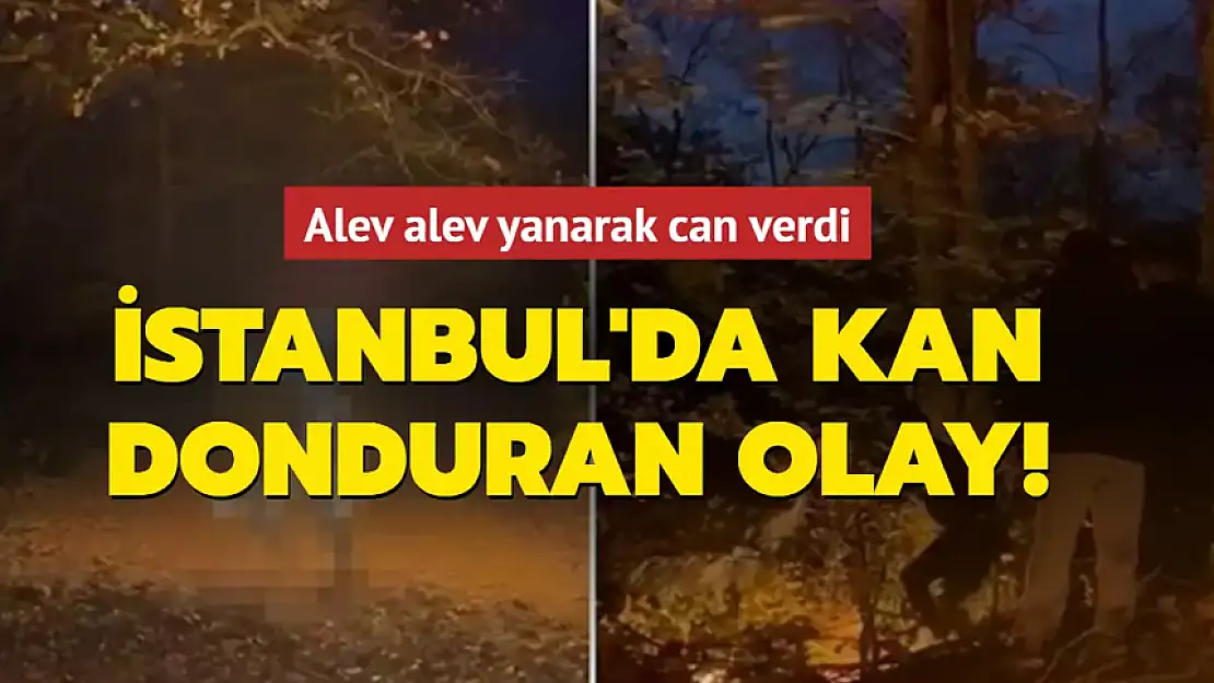 İSTNABUL'DA KAN DONDURAN OLAY: ALEV ALEV YANARAK CAN VERDİ