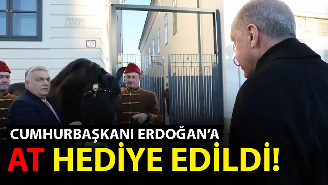 CUMHURBAŞKANI ERDOĞAN'A AT HEDİYE EDİLDİ