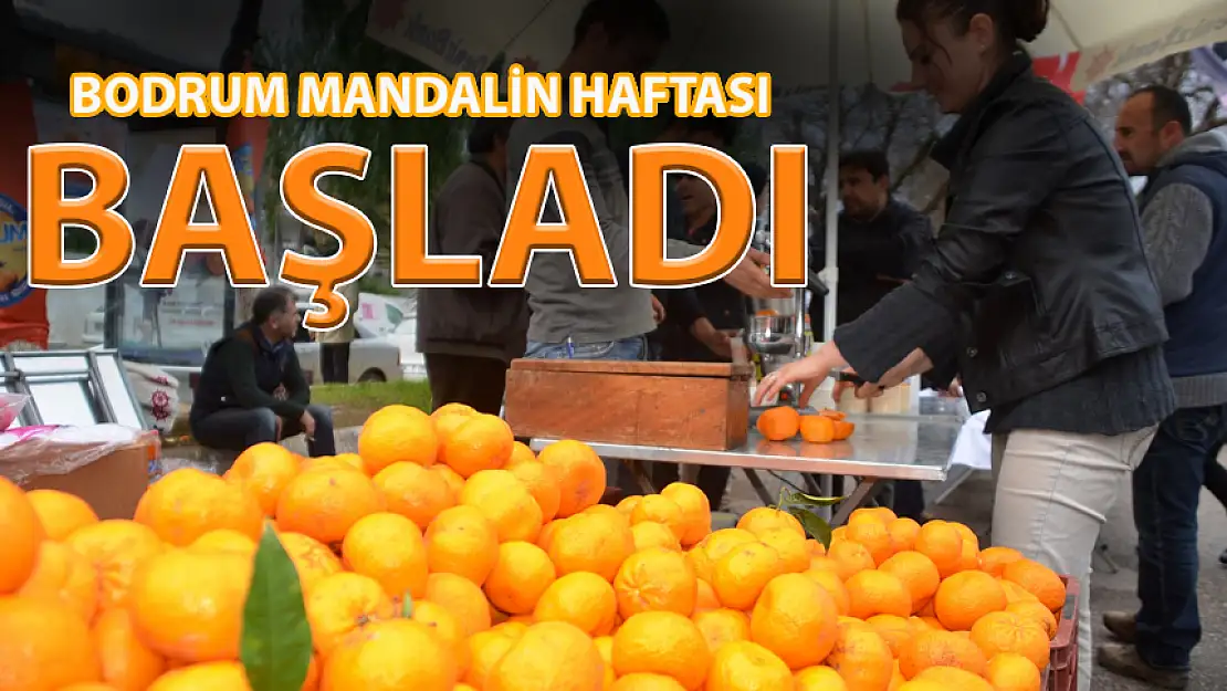 BODRUM MANDALİN HAFTASI BAŞLADI!