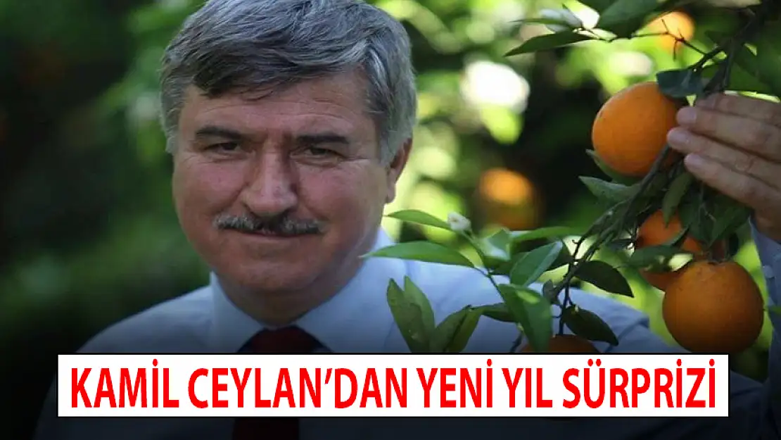 KAMİL CEYLAN'DAN YENİ YIL SÜRPRİZİ