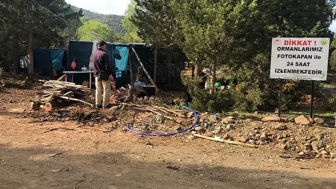 DATÇA'DA ORMANLAR BAKIMA ALINDI