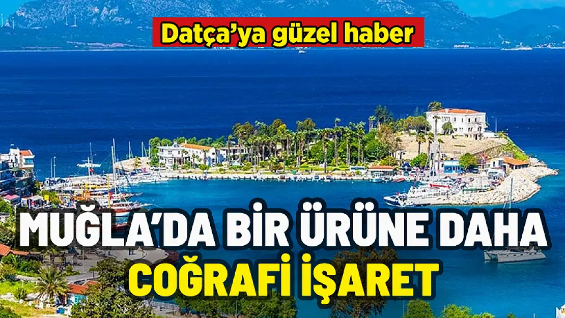 MUĞLA'DA BİR ÜRÜNE DAHA COĞRAFİ İŞARET: DATÇA'YA GÜZEL HABER