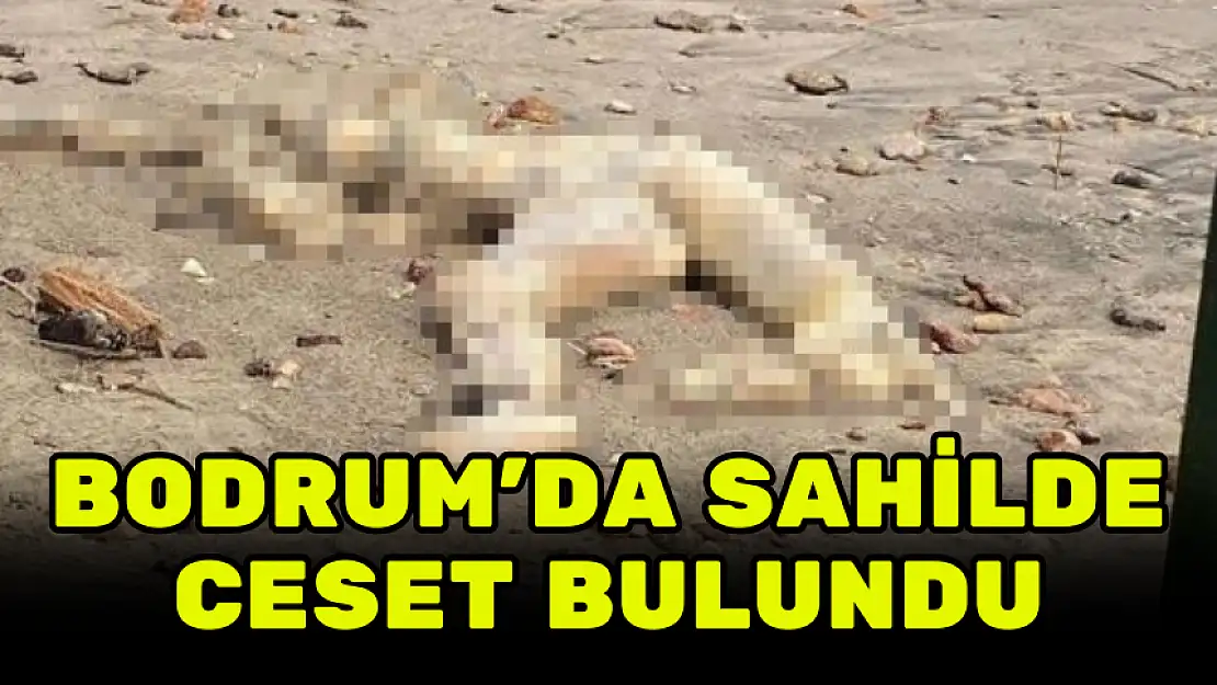 TANINMAYACAK HALDE! BODRUM'DA SAHİLDE CESET BULUNDU