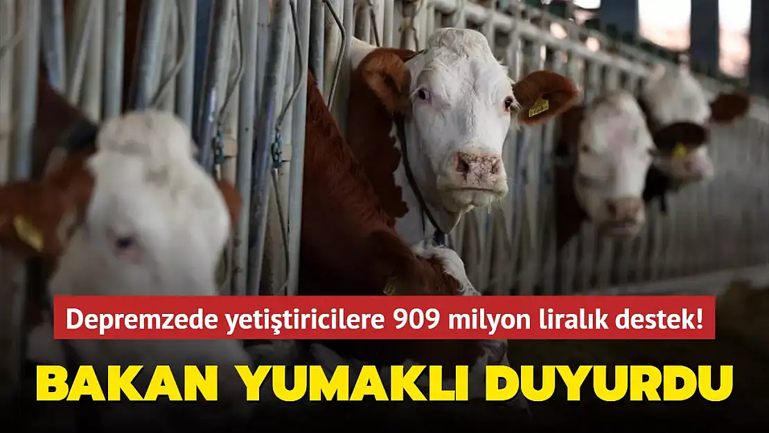 BAKAN YUMAKLI DUYURDU... DEPREMZEDE YETİŞTİRİCİLERE 909 MİLYON LİRALIK DESTEK