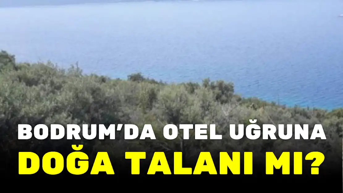BODRUM'DA OTEL UĞRUNA DOĞA TALANI MI?