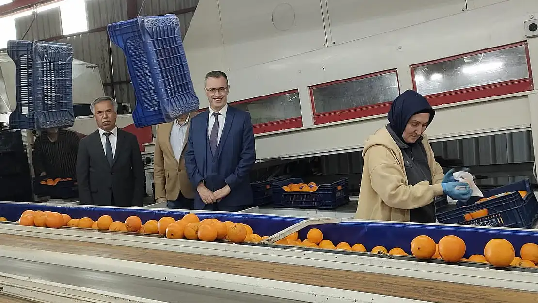 KAYMAKAM ERTAŞ HAL VE ZEYTİNYAĞI FABRİKALARINI ZİYARET ETTİ