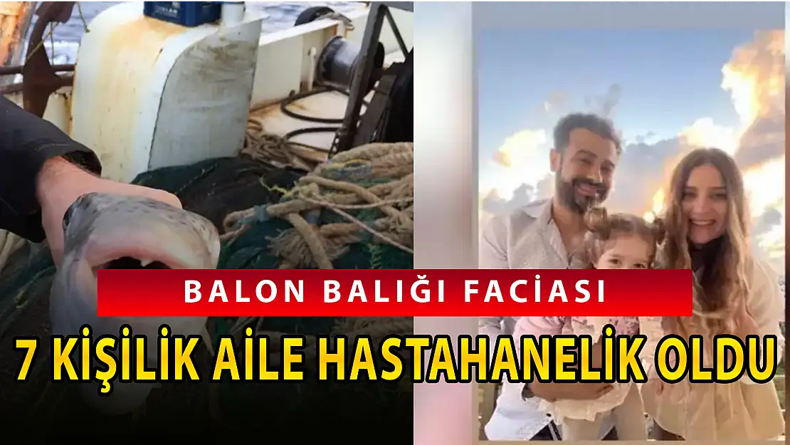 BALON BALIĞI TÜM AİLEYİ HASTAHANELİK ETTİ