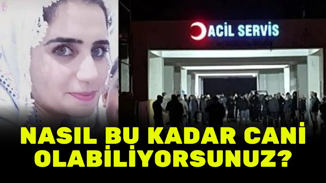 NASIL BU KADAR CANİ OLABİLİYORSUNUZ?