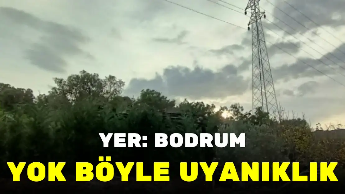 BODRUM'DA KAÇAK İNŞAATI BÖYLE GİZLEDİLER