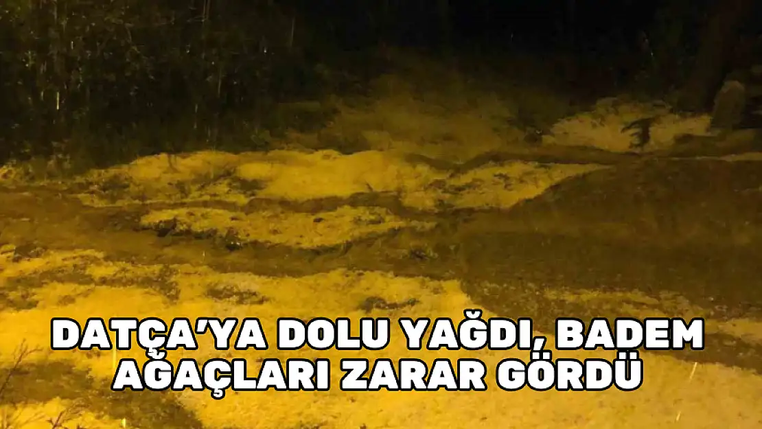 DATÇA'YA DOLU YAĞDI, BADEM AĞAÇLARI ZARAR GÖRDÜ