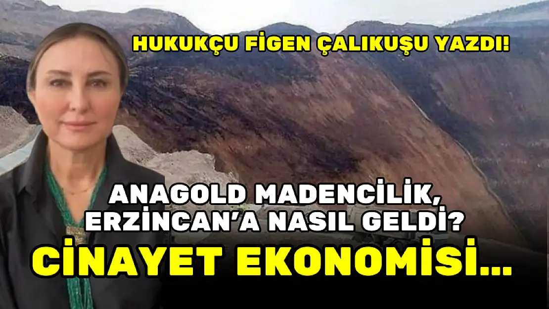 ANAGOLD MADENCİLİK, ERZİNCAN'A NASIL GELDİ? CİNAYET EKONOMİSİ...