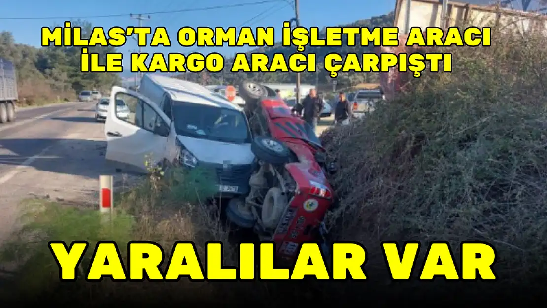 MİLAS'TA ORMAN İŞLETME ARACI İLE KARGO ARACI ÇARPIŞTI: 2 YARALI