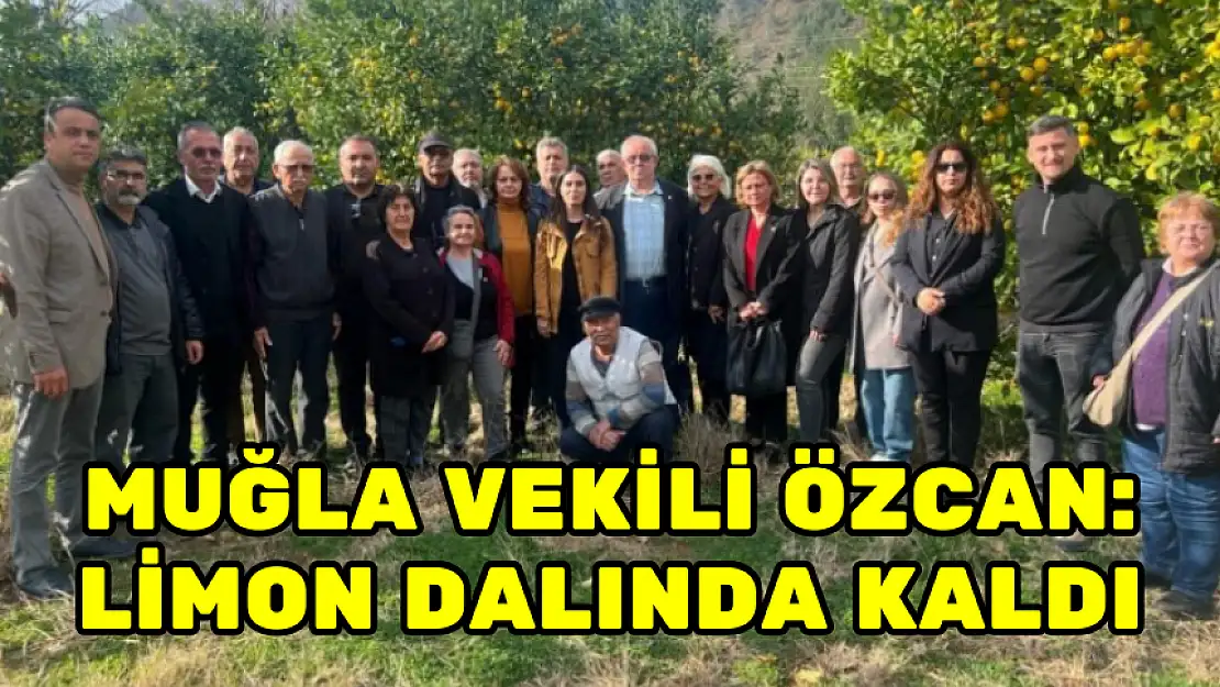 MUĞLA VEKİLİ ÖZCAN: LİMON DALINDA KALDI