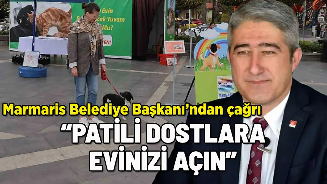 MARMARİS BELEDİYE BAŞKANI: PATİLİ DOSTLARA EVİNİZİ AÇIN