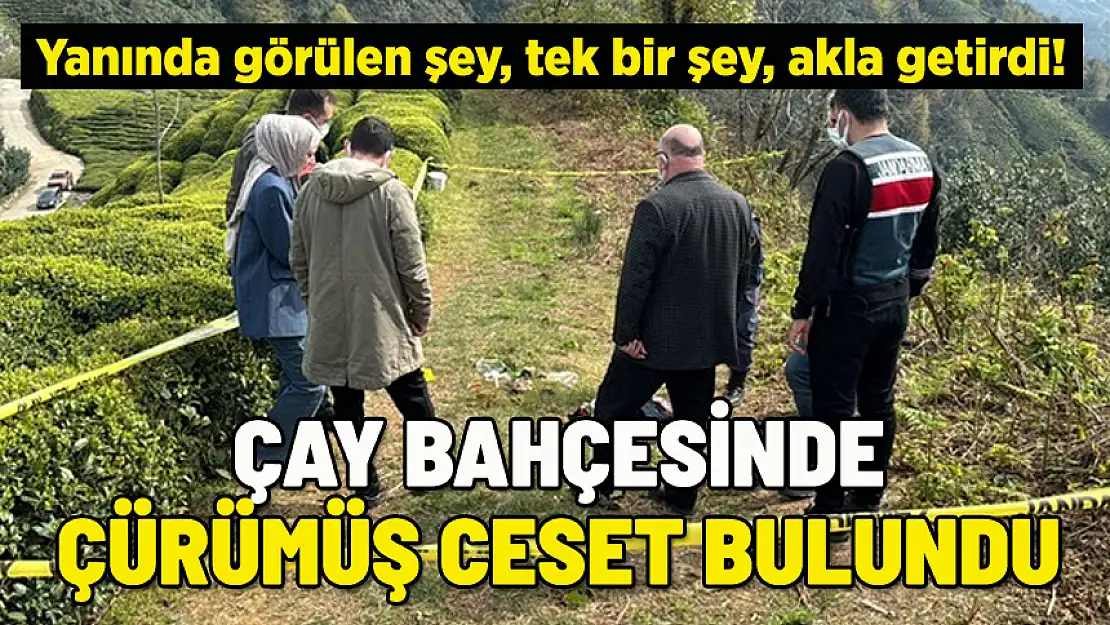 ÇAY BAHÇESİNDE FECİ OLAY! ÇÜRÜMÜŞ CESET BULUNDU