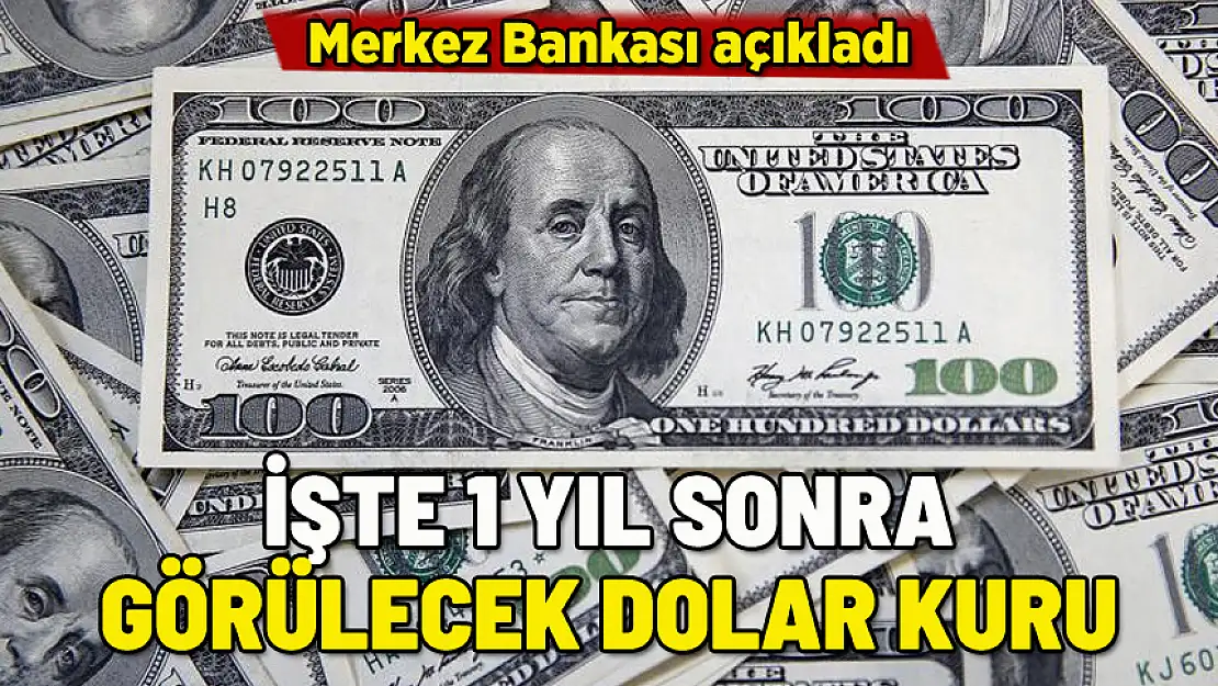 İŞTE 1 YIL SONRA GÖRÜLECEK DOLAR KURU