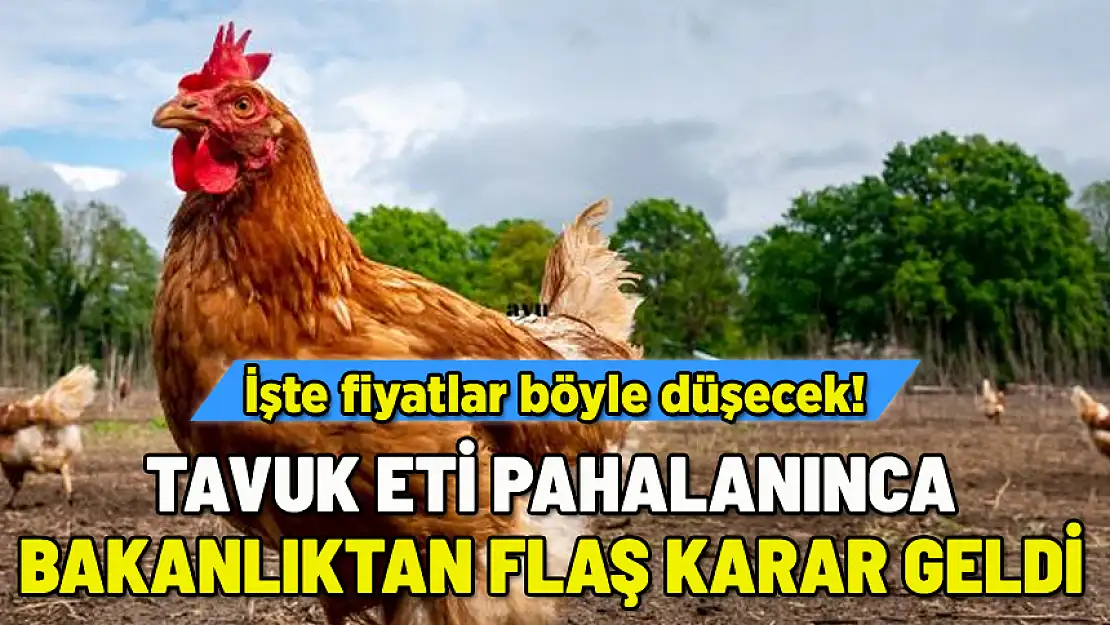 TAVUK FİYATLARI ARTINCA BAKANLIK HAREKETE GEÇTİ! YASAK GELİYOR