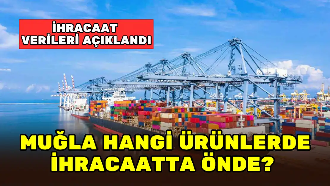 MUĞLA'NIN İHRACAATINI O ÜRÜNLER SIRTLIYOR