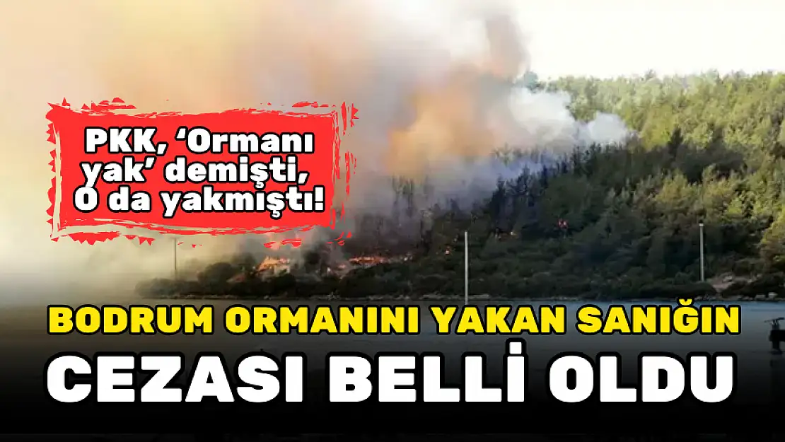 PKK YAK DEMİŞTİ! O DA BODRUM ORMANINI YAKMIŞTI! CEZASI AÇIKLANDI…