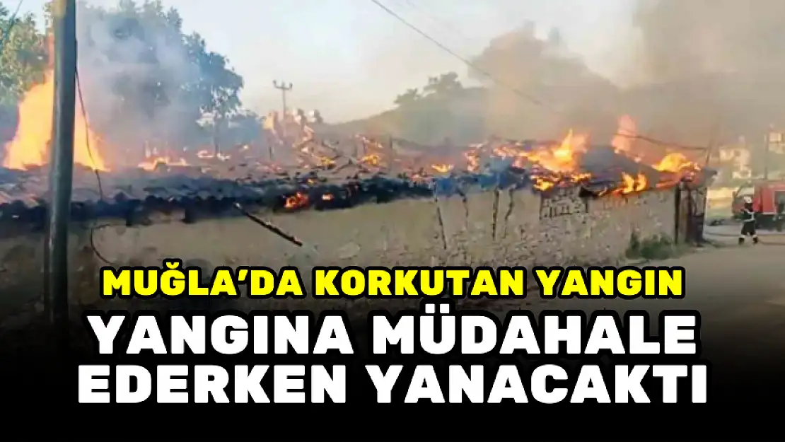 MUĞLA'DA KORKUTAN YANGIN! BÜYÜK ZARAR VAR!