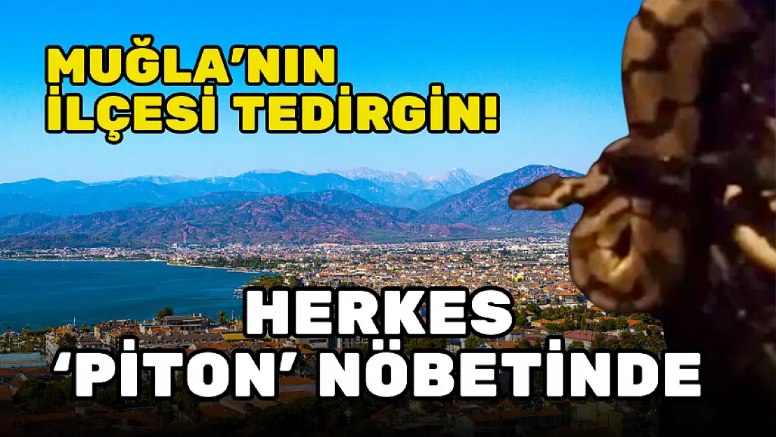 FETHİYE'DE 'PİTON' NÖBETİ! HERKES YILAN ARIYOR!