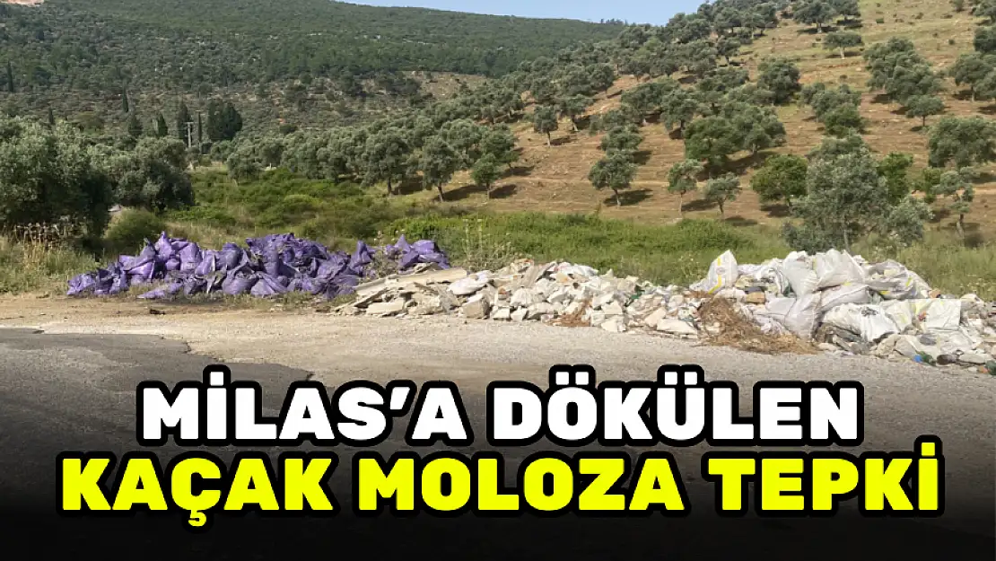 MİLAS'TA YOL KENARINA DÖKÜLEN MOLOZLAR KİRLİLİK OLUŞTURUYOR