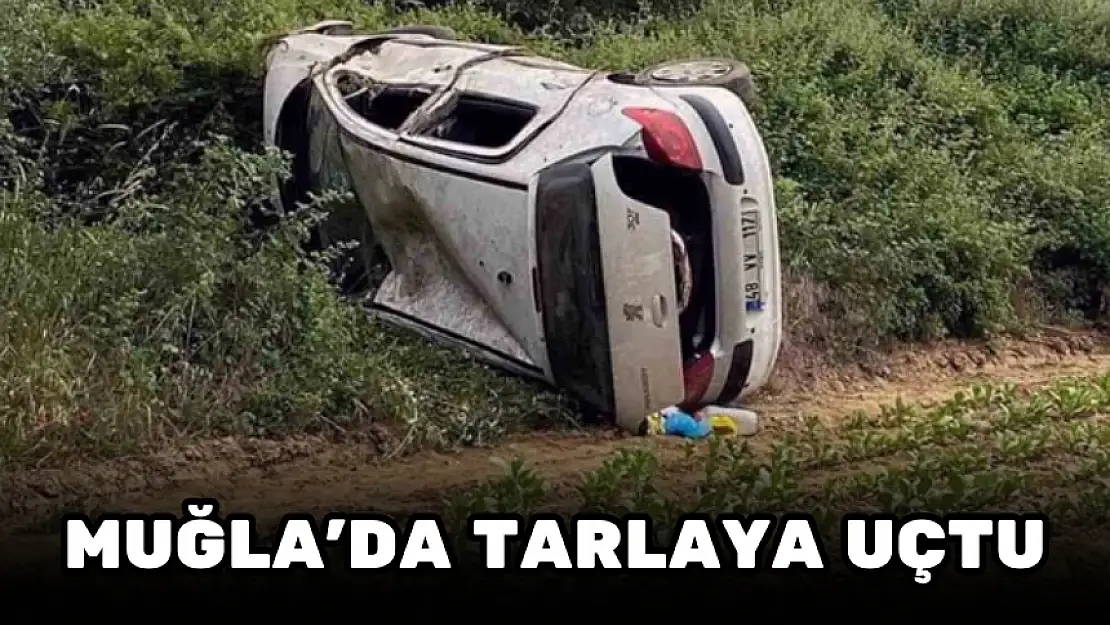 MUĞLA'DA ARAÇ TÜTÜN TARLASINA UÇTU!