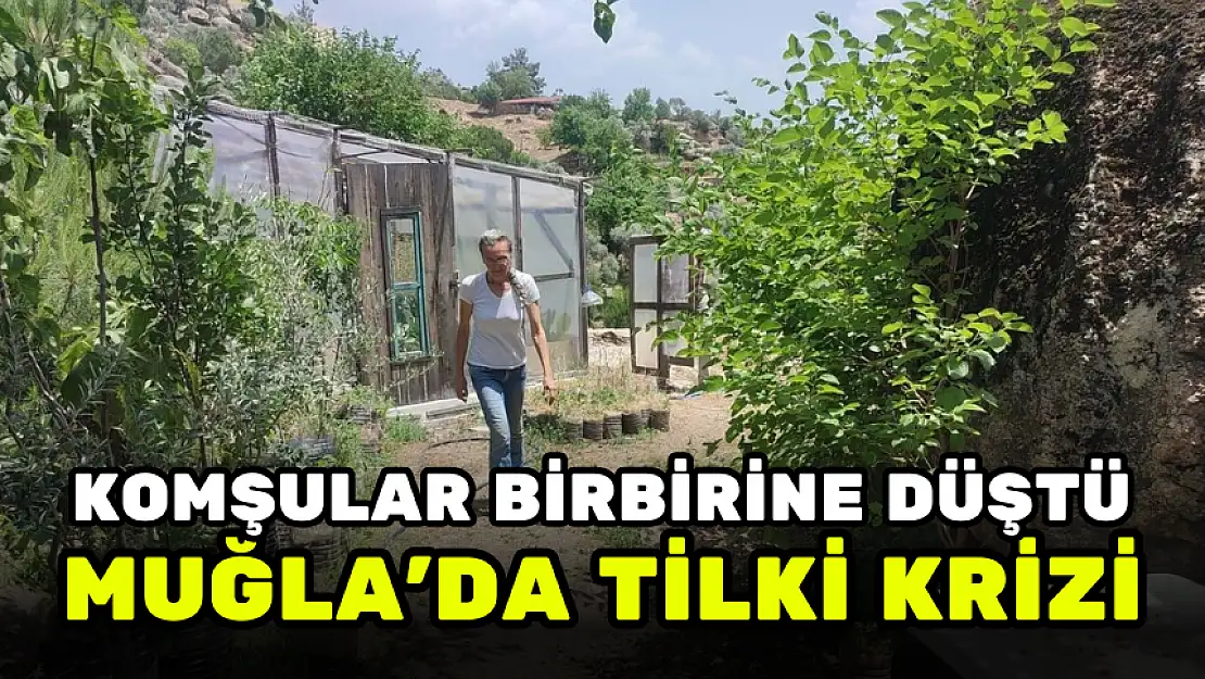 MUĞLA'DA TİLKİ ÖLDÜREN KOMŞUSUNU İHBAR ETTİ, OLANLAR OLDU!