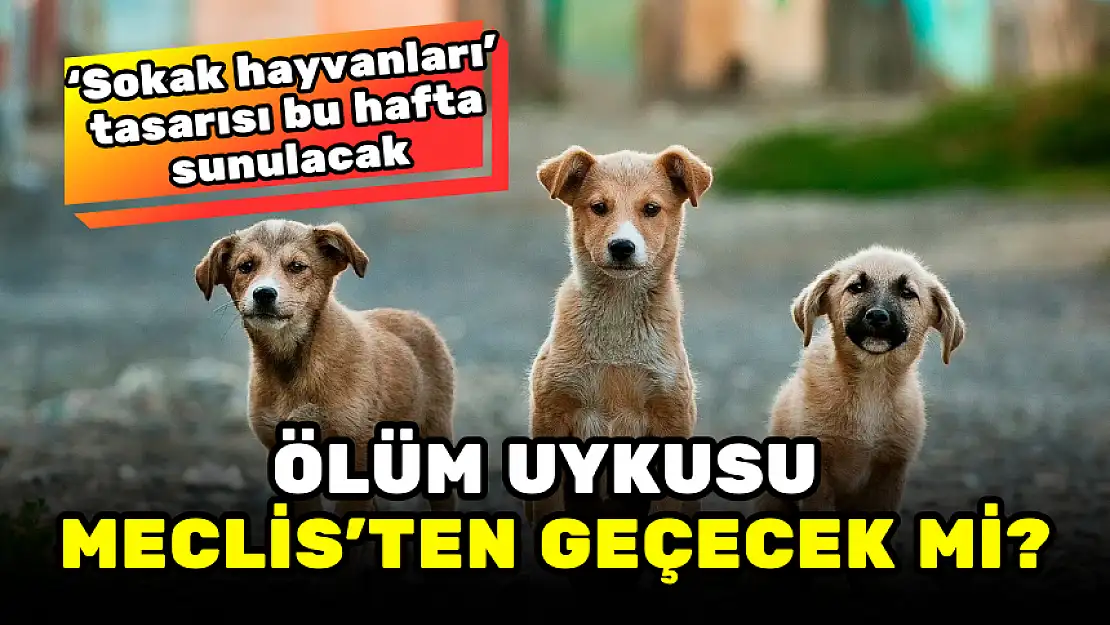TARTIŞILAN 'ÖLÜM UYKUSU' KARARI BU HAFTA MECLİS'E SUNULACAK
