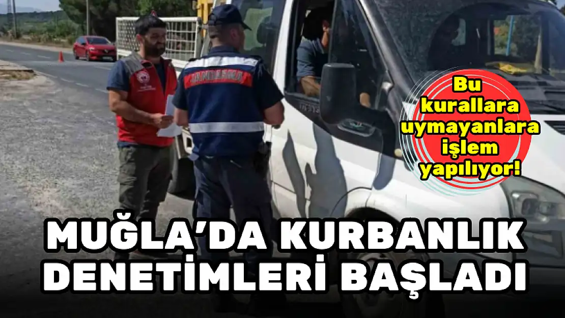 MUĞLA'DA KURBANLIK DENETİMLERİ BAŞLADI