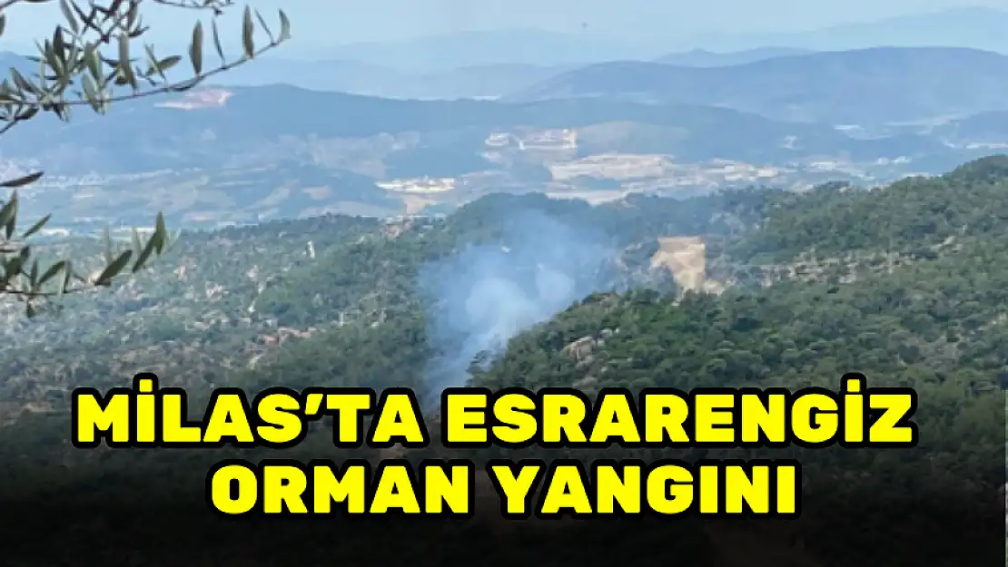 MİLAS'TA KORKUTAN ORMAN YANGINI