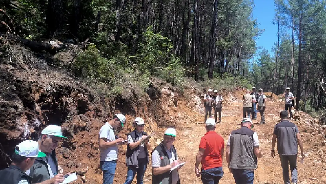 MUĞLA'DA 'ORMAN YOL AĞI PLANLARI' GÜNCELLEME EĞİTİMİ VERİLDİ
