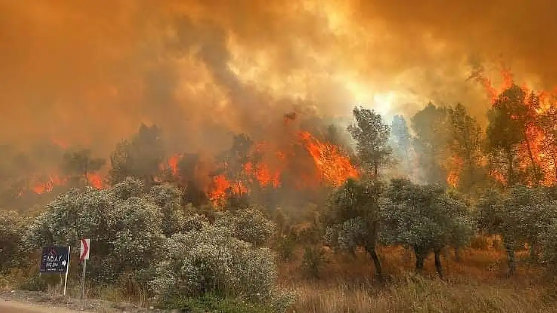 MUĞLA VALİSİ AKBIYIK'TAN YANGIN TEHLİKESİNE KARŞI KRİTİK UYARI!