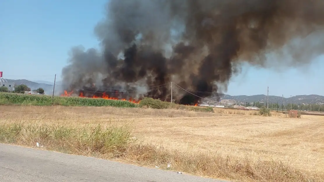 MİLAS'TA PETROL OFİSİNİN YAKININDA YANGIN ÇIKTI! O ANLARDA BÜYÜK PANİK YAŞANDI