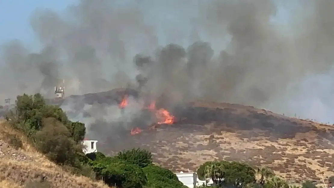 BODRUM AKYARLAR'DA ÇIKAN YANGIN KUVVETLİ RÜZGARIN ETKİSİYLE HIZLA YAYILDI!