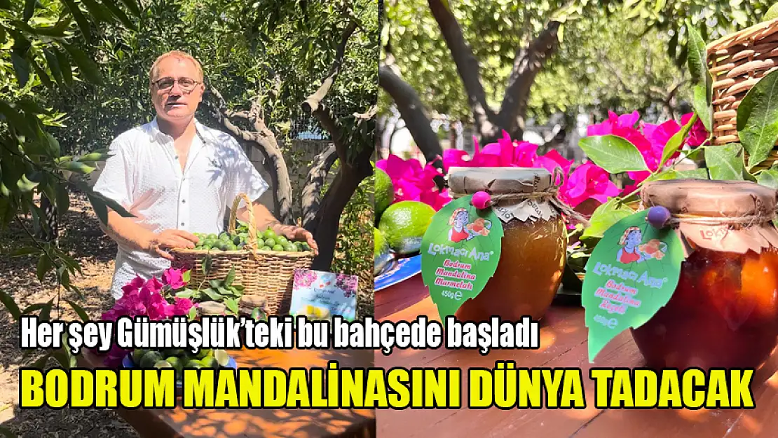 BODRUM MANDALİNASINI DÜNYA TADACAK LOKMACI ANA'NIN SAHİBİ ERDAL AYRAN 3. MARKASIYLA GELİYOR