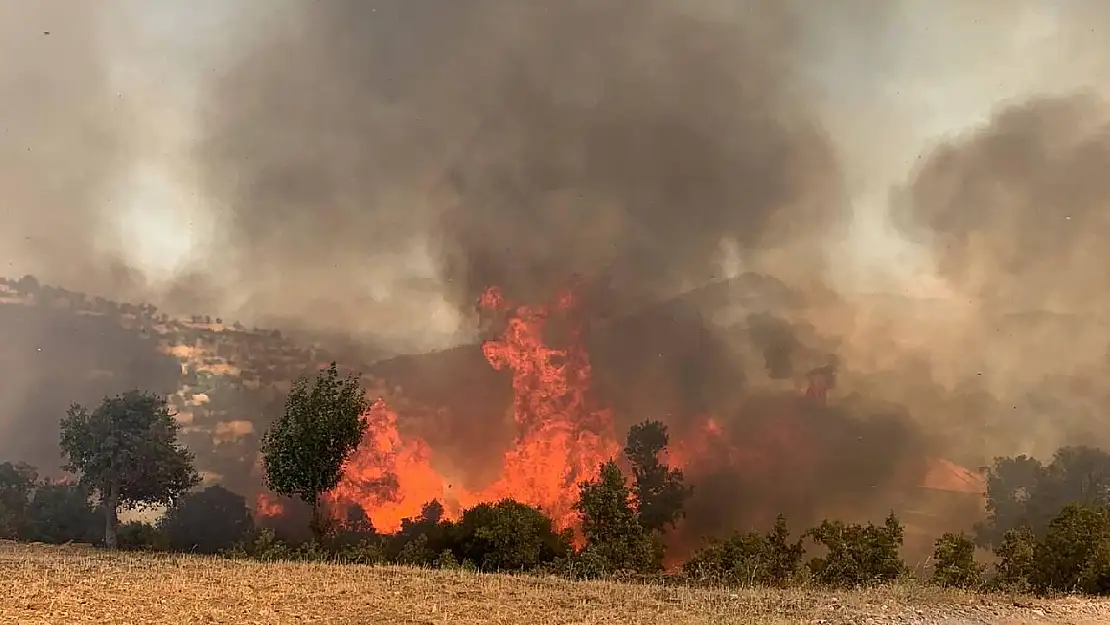 BOZDOĞAN'DAN KAVAKLIDERE'YE SIÇRAYAN YANGIN! EKİPLER ALEVLERE KARŞI ADETA DUVAR ÖRÜYOR