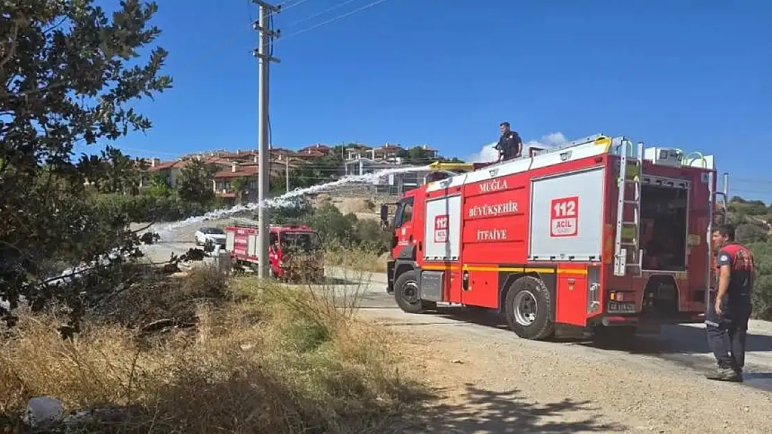 Datça'da otluk alanda korkutan yangın! Ağaçlar zarar gördü