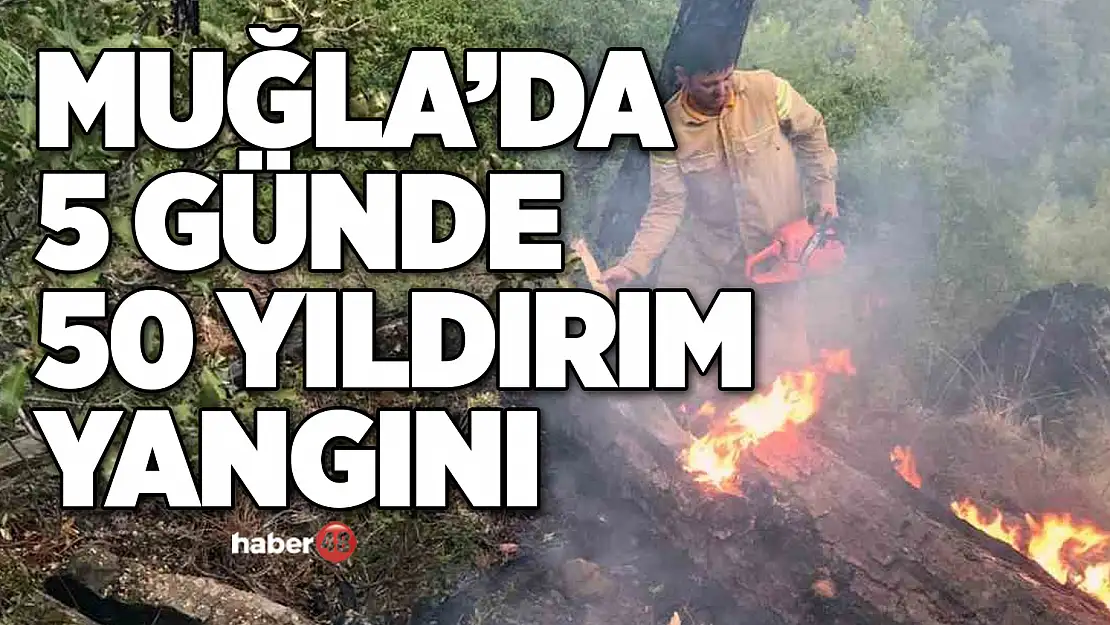 MUĞLA'DA 5 GÜNDE 50 YILDIRIM YANGINI