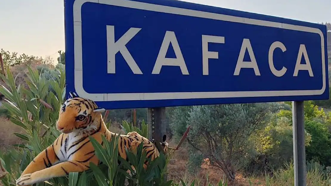 YATAĞANLILARDAN KAFALARI KARIŞTIRAN KAFACA'YA İLGİNÇ ÇÖZÜM