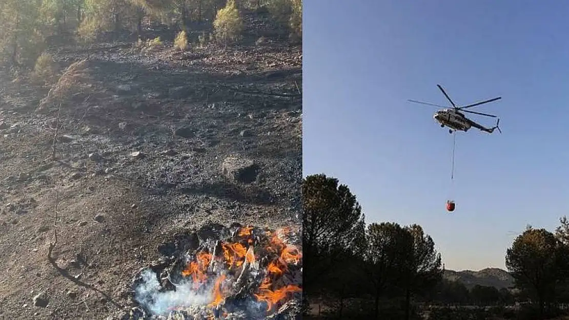 Köyceğiz'de korkutan yangın! Alevler kontrol altına alındı