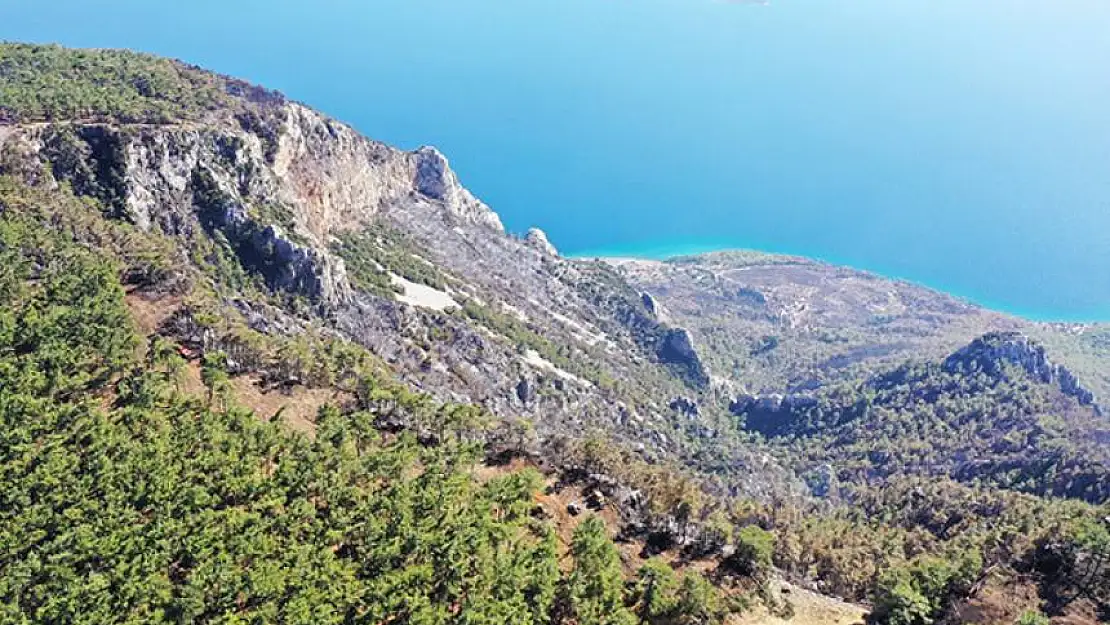 Ormancılar 6 kilometrelik yangın şeridi ile alevlerin önünü kesti