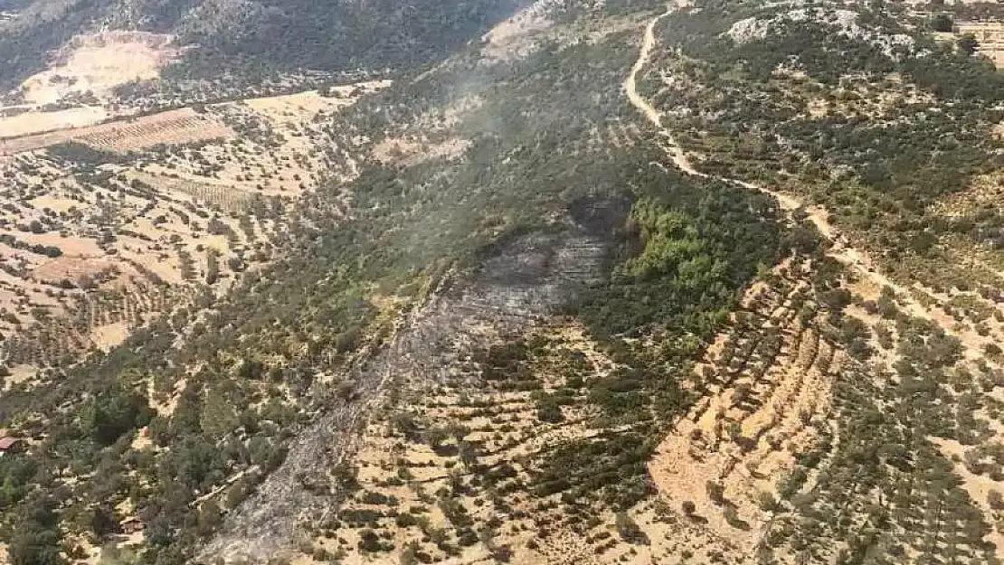 Seydikemer'de yangın! 2 hektar zirai ve makilik alan zarar gördü