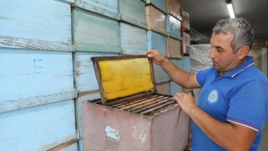 Yerel yönetimler arasında bir ilk: Muğla'da Arıcılar için 'Temiz Petek' Projesi