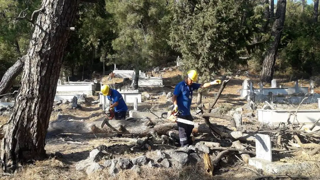 Belediye mezarlıkları temizliyor, odunlar ihtiyaç sahiplerine yakacak oluyor