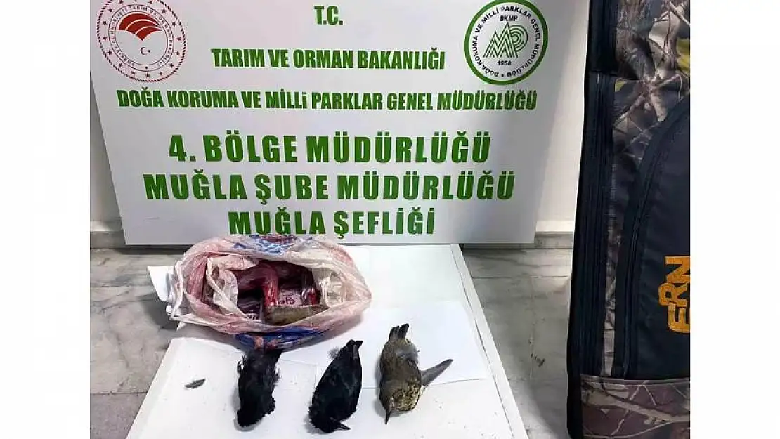 Muğla'da kaçak avcılığa geçit yok! O avcılara ceza yağmuru