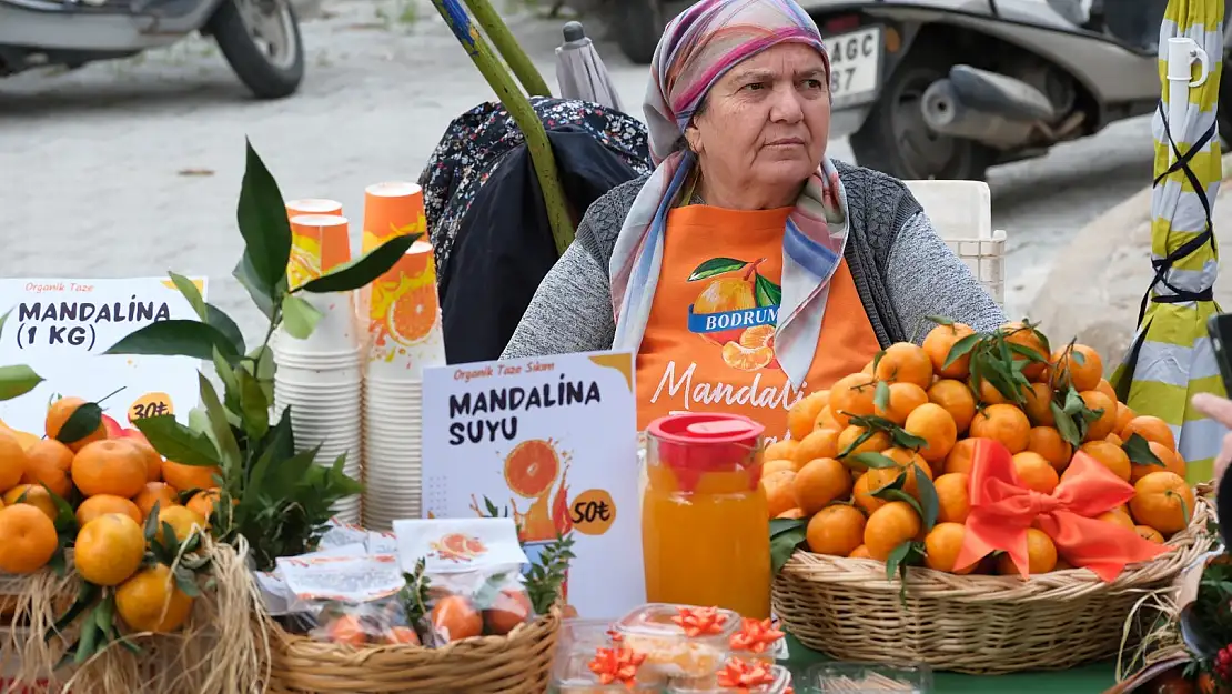 Bodrum Mandalin Festivali renkli görüntülerle sona erdi