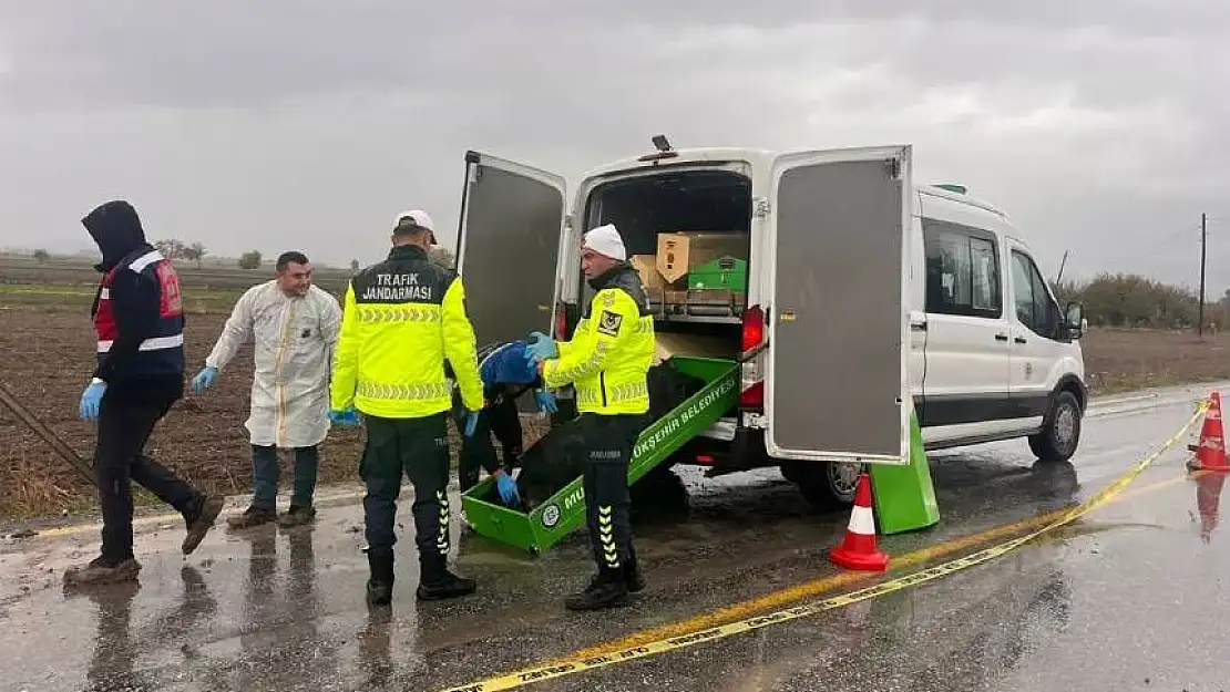 Milas'ta yol kenarında erkek cesedi bulundu