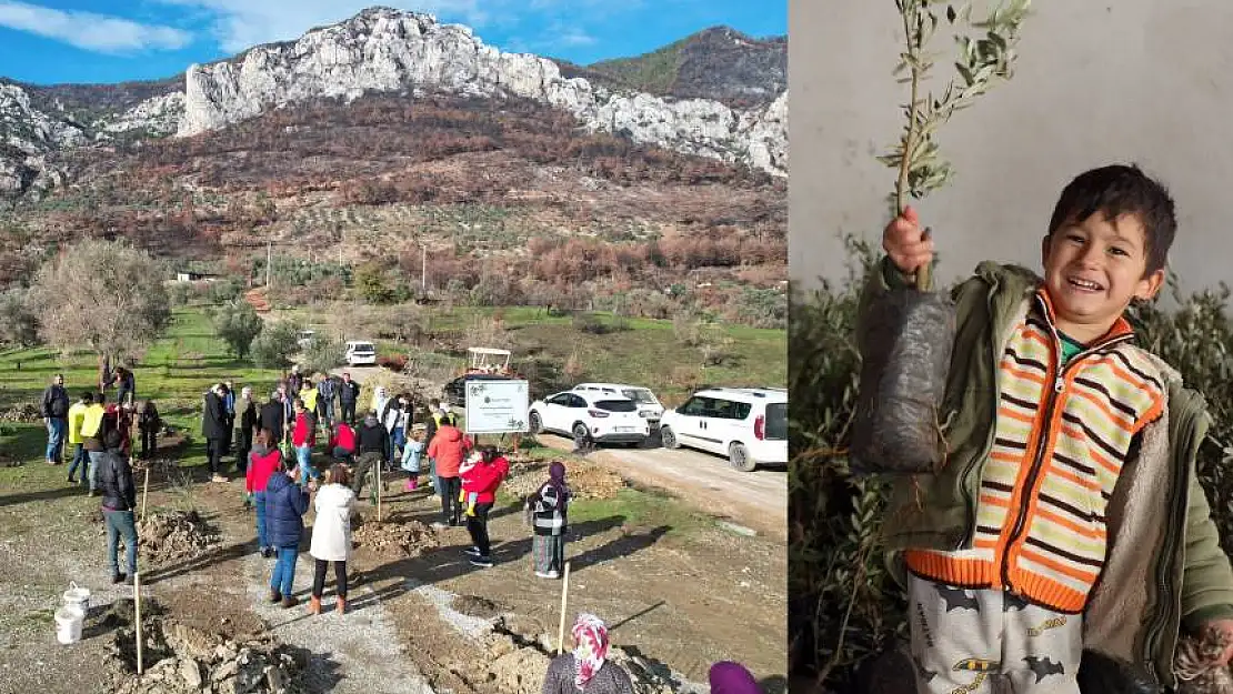 Muğla'da yangından zarar gören arazilere umut Zeytin fidanı dağıtım kampanyası