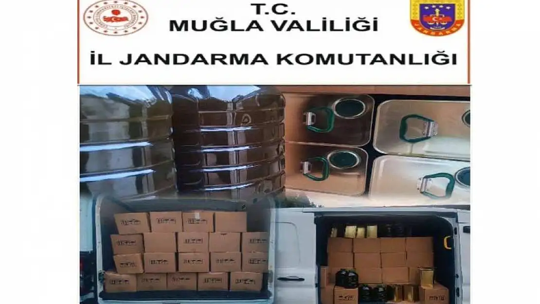 Menteşe'de jandarma operasyonuyla bin 520 litre sahte zeytinyağı ele geçirildi